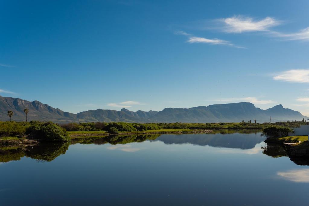 Vlei Cove Interior